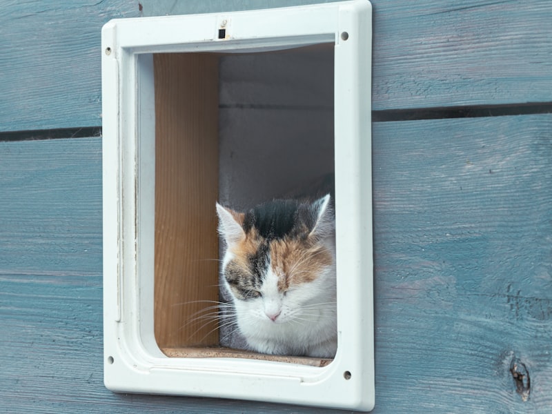Kattenluiken — Vrije in- en uitloop voor je kat