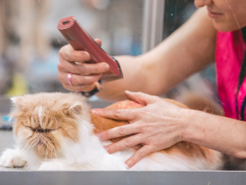 Verzorging — Nagels, vacht en gezondheid